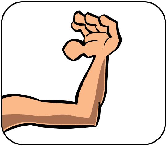 ARM DER